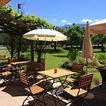 Alpenhof Restaurant 3*