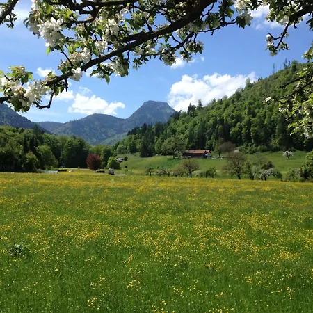 Hotel Alpenhof Restaurant