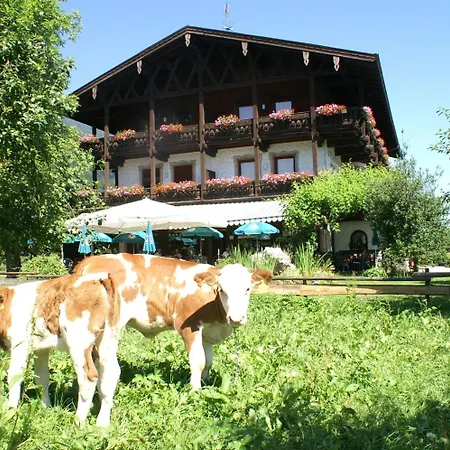 Alpenhof Restaurant 3*