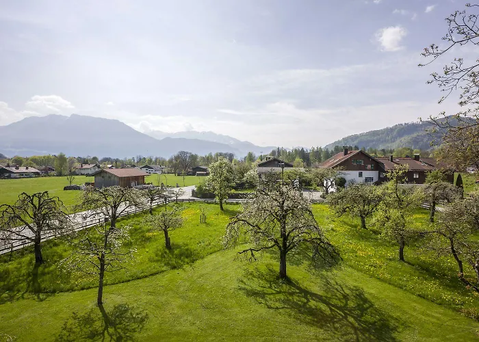 Alpenhof Restaurant Hotell