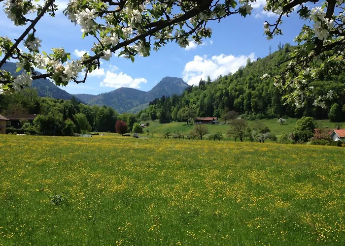 Hotell Alpenhof Restaurant