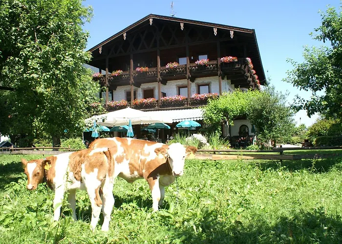 Alpenhof Restaurant 3*
