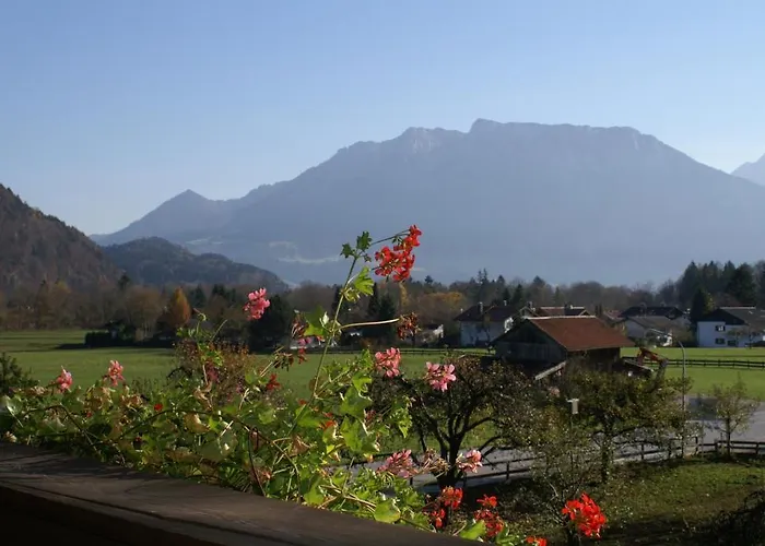 Hotell Alpenhof Restaurant