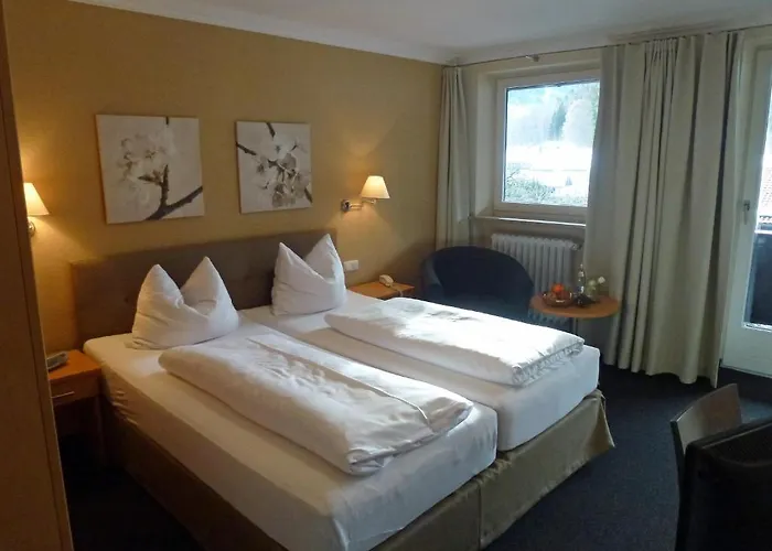 Alpenhof Restaurant Hotell 3*