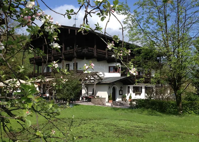 Alpenhof Restaurant Hotell 3*