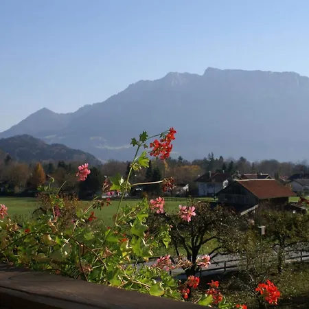 Alpenhof Restaurant 3*