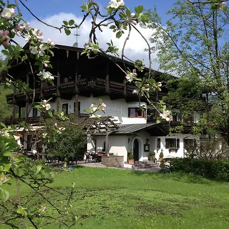 Alpenhof Restaurant Hotel 3*
